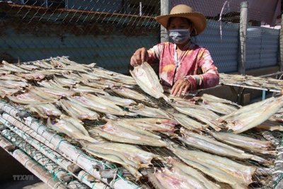 Xuất khẩu cá khô, tôm khô tăng trưởng mạnh