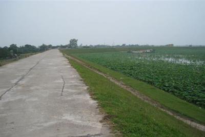 Hà Nội: Sắp có tuyến đường rộng hơn 20m tại huyện Gia Lâm