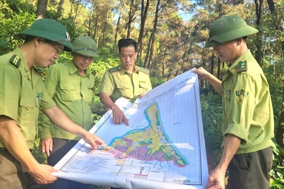Hà Tĩnh: Dồn sức phòng chống cháy rừng đợt cao điểm nắng nóng
