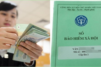 Tốc độ sinh lời đầu tư Quỹ Bảo hiểm xã hội giảm còn 2,5%/năm, vì sao?