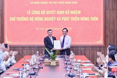 Phó Thủ tướng Trần Lưu Quang trao quyết định bổ nhiệm tân Thứ trưởng Bộ NN&PTNT