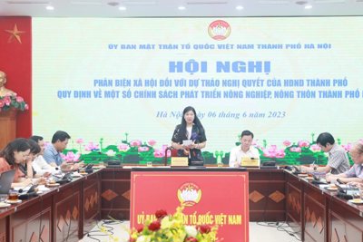 Hà Nội: Rất cần chính sách khuyến khích doanh nghiệp đầu tư vào nông nghiệp