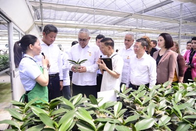 Đoàn cán bộ cấp cao Cuba thăm mô hình nông nghiệp hiện đại tại Hà Nội