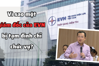 Vì sao một giám đốc của EVN bị tạm đình chỉ chức vụ?