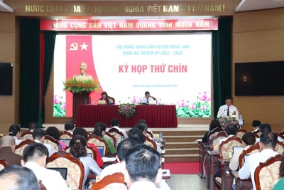 Tán thành chủ trương thành lập quận Đông Anh – Thành phố Hà Nội
