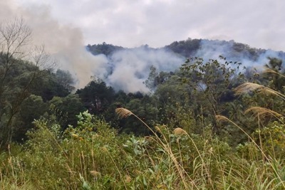 Hà Nội: Chủ động ứng phó nguy cơ cháy rừng tại “điểm nóng” Sóc Sơn