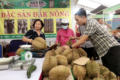 Khai mạc Tuần hàng trái cây, nông sản 2023 tại Hà Nội 