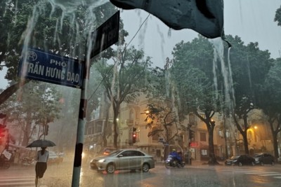 Dự báo thời tiết ngày 25/6/2023: Hà Nội mưa vừa, có nơi mưa to cả ngày