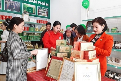 Hà Nội: Tập trung truyền thông đến người tiêu dùng lợi ích khi dùng hàng Việt
