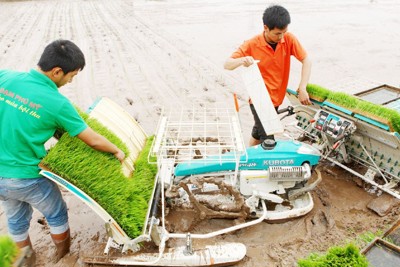 Khuyến nông giúp thay đổi tập quán sản xuất