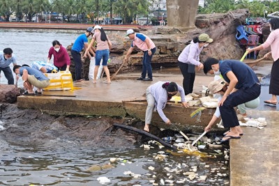 Phú Quốc: Chung tay làm sạch môi trường