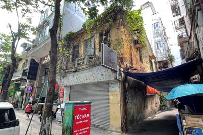 Hà Nội: Tuyến phố đắt đỏ bậc nhất lại có nhà để cây dại bao phủ