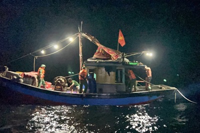 Hà Tĩnh: Bắt quả tang 4 tàu giã cào đánh bắt thủy sản trái phép
