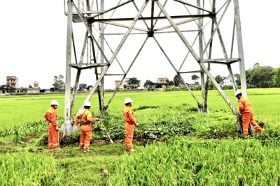 Công bố loạt vi phạm của lãnh đạo EVN, PVN, TKV về cung ứng điện