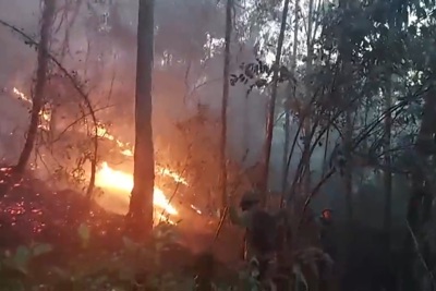 Nghệ An: Thông tin sơ bộ về vụ cháy rừng tại huyện Nam Đàn