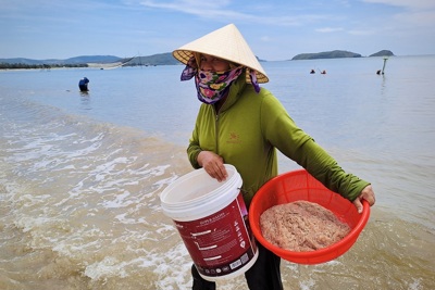 Quảng Bình: Ngư dân trúng đậm”lộc trời”