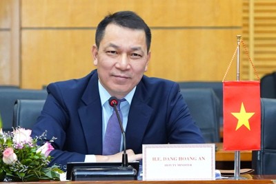 Bổ nhiệm Thứ trưởng Đặng Hoàng An làm Chủ tịch EVN