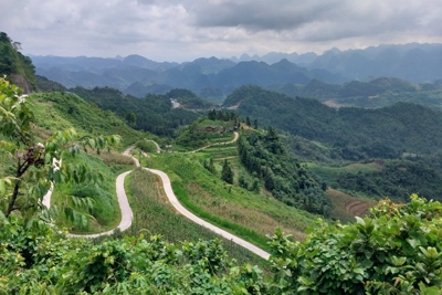 Trả lại màu xanh cho cao nguyên đá Hà Giang