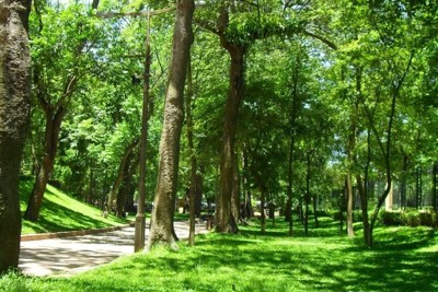 Quy hoạch khu trung tâm văn hóa, vườn bách thảo hơn 60 ha tại Bắc Giang