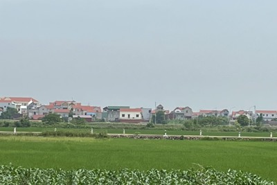 15 năm thực hiện Nghị quyết số 15/2008/QH12:Xã Minh Tân trở thành miền xanh đáng sống