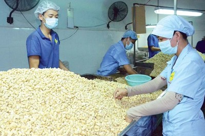Bộ Công Thương cảnh báo nguy cơ doanh nghiệp Việt bị lừa xuất khẩu sang UAE