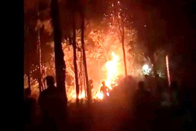 Hà Nội: Nhanh chóng khống chế đám cháy rừng trong đêm