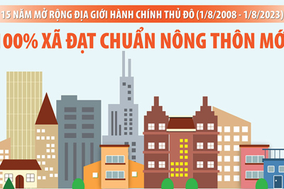 Hà Nội dẫn đầu cả nước trong phong trào xây dựng nông thôn mới