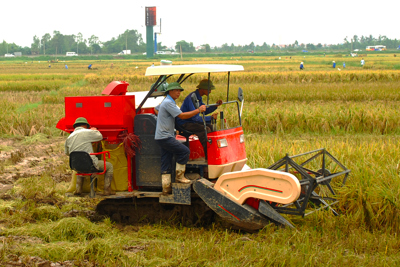 Thời cơ vàng cho gạo Việt 