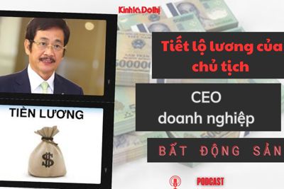 Tiết lộ lương của chủ tịch, CEO doanh nghiệp bất động sản