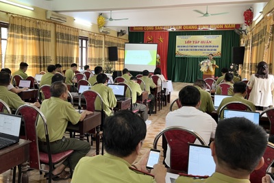 Hà Nội: Chuyên nghiệp hóa quản lý rừng