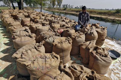 Đông Nam Á được - mất gì từ biến động gạo xuất khẩu?