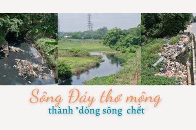 Sông Đáy thơ mộng thành “dòng sông chết”