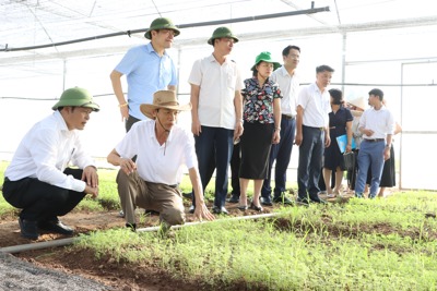 Hà Nội đẩy mạnh ứng dụng công nghệ số trong nông nghiệp