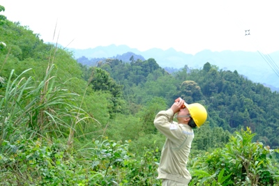 Kiểm điểm nhiều chủ tịch, tổng giám đốc đơn vị trực thuộc EVN