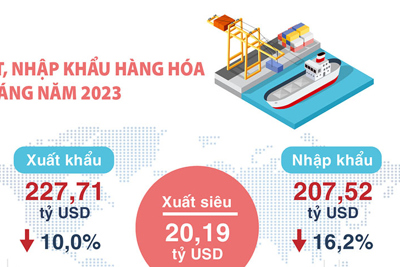 Tình hình kinh tế – xã hội tháng 8 và 8 tháng năm 2023