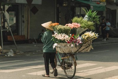 Dự báo thời tiết ngày 30/8/2023: Hà Nội không mưa, gió đông bắc cấp 2-3