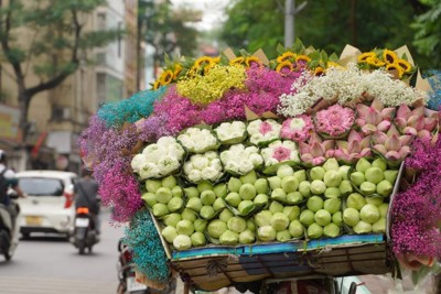 Dự báo thời tiết ngày 31/8/2023: Hà Nội gió đông bắc cấp 2-3, trời hanh khô