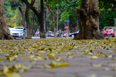 Đẹp nao lòng Hà Nội vào Thu