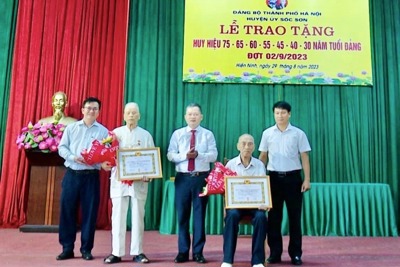 Trao tặng, truy tặng Huy hiệu Đảng cho 269 đảng viên huyện Sóc Sơn đợt 2/9