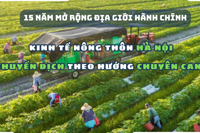 Kinh tế nông thôn Hà Nội chuyển dịch theo hướng chuyên canh
