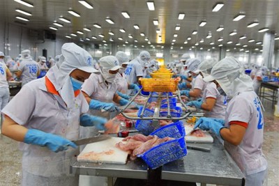 Đâu là yếu tố ảnh hưởng đến sản xuất và xuất khẩu cá tra Việt Nam?
