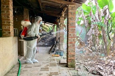 Ngăn chặn dịch bệnh sốt xuất huyết Dengue tại huyện Sóc Sơn