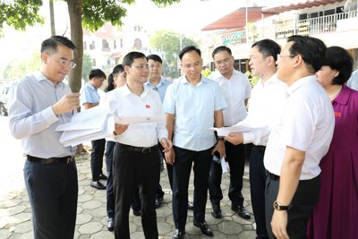 Quận Hoàng Mai: Sớm rà soát, xử lý dự án xây trường học chậm triển khai