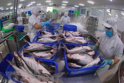 VASEP: Thị trường xuất khẩu thủy sản vẫn chưa phục hồi như kỳ vọng