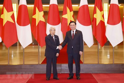 Chủ tịch Thượng viện Nhật Bản kết thúc tốt đẹp chuyến thăm Việt Nam