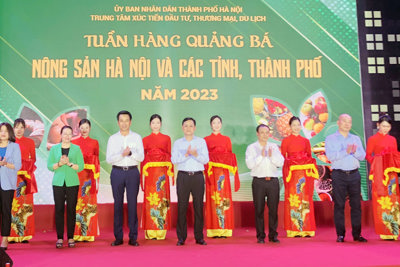 Khai mạc Tuần hàng quảng bá nông sản Hà Nội và các tỉnh, thành phố 2023