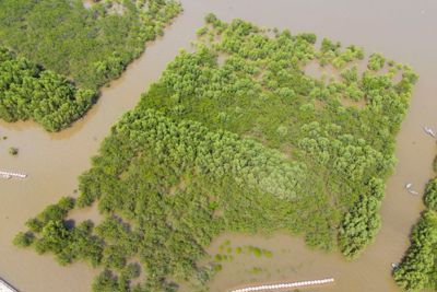 Thái Bình: Thông tin mới nhất về Khu bảo tồn thiên nhiên đất ngập nước