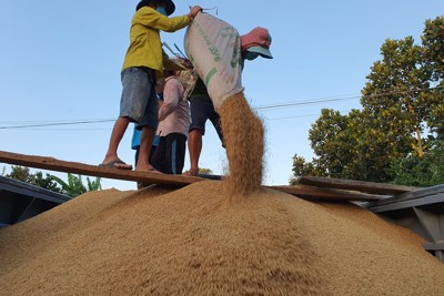 Doanh nghiệp lúa gạo, thủy sản kiến nghị linh hoạt hỗ trợ tín dụng