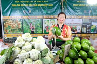 Trung Quốc tăng cường thu mua nông sản Việt Nam