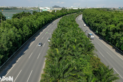 Ngắm nhìn hàng cây xanh mát ở đại lộ dài và hiện đại nhất Việt Nam